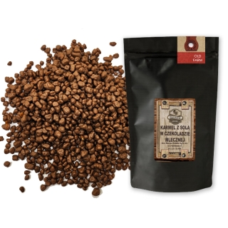 KARMEL SOLONY W CZEKOLADZIE MLECZNEJ 1 KG SUPER SMAK